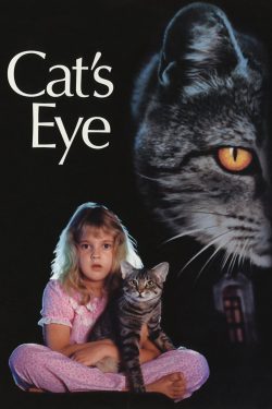Mắt mèo